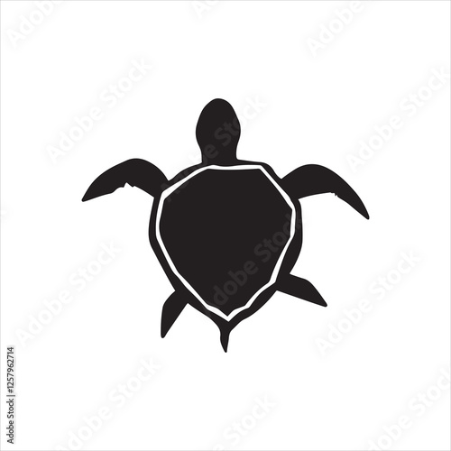 The Most Beautiful and Unique Turtle Shell Patterns
