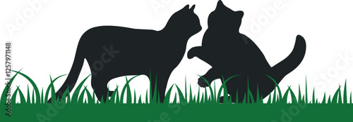 Photography Vector a couple of cats are playing on grass illustrations