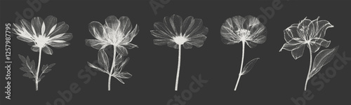 Color elements with X-ray effect, for grunge punk y2k collage design. Texture in the form of vector points. Vector.
