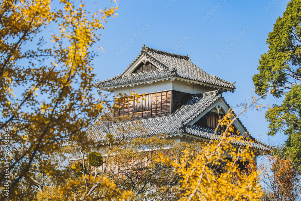 Kumamoto castle with yellow leaves in autumn season. Kumamoto castle with yellow leaves in autumn season.