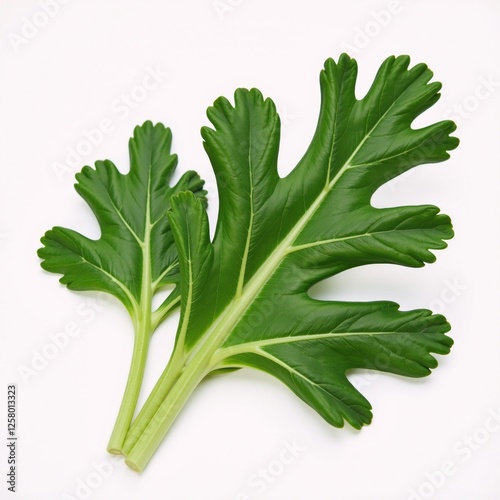Kale leaves isolated on a white backdrop - Ideal for health-focused imagery vegan dishes  natural foods photo