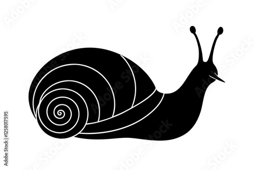 Snail silhouette vector art illustration, graphic design, isolated icon, snail clipart
