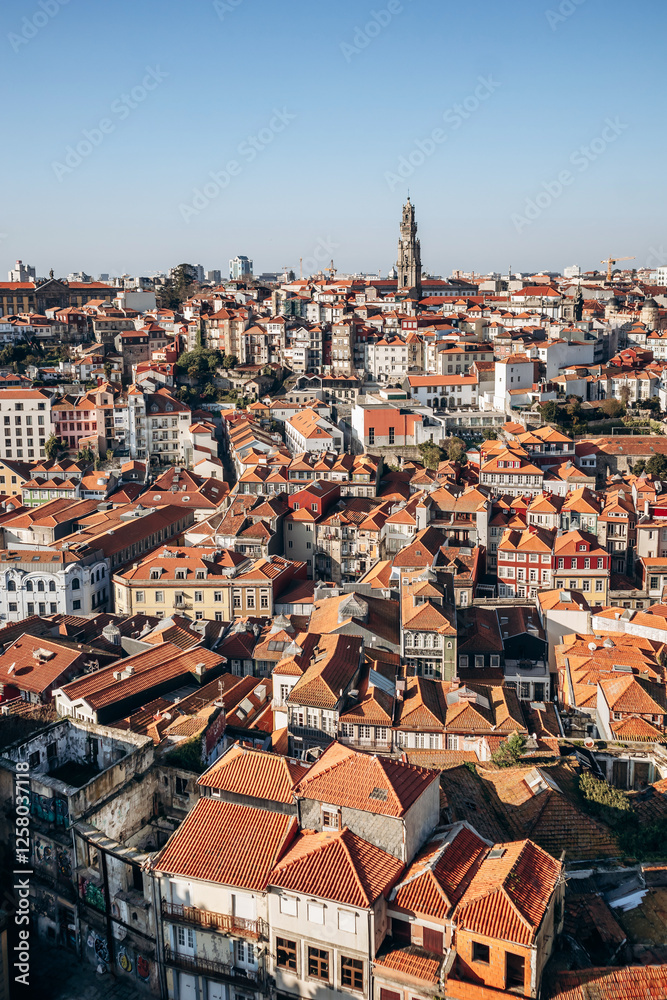 Fototapeta premium View of Porto rooftops on a sunny day
