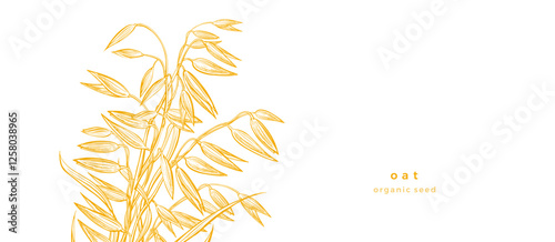 Oat plant. Hand drawn vector bakery illustration