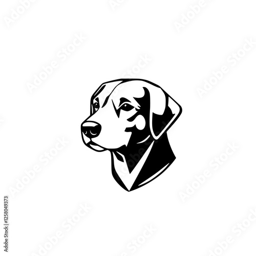 Minimalist Dog Portrait: A Black & White Labrador Retriever Against White Background.