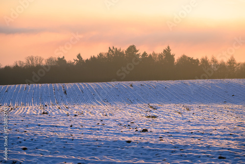 Snow covered rolling hills in British rural countryside on a winter morning with pink hues from sunrise. photo