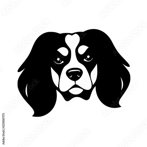 Cavalier King Charles Spaniel's face - A black and white portrait against white background, simple & elegant.