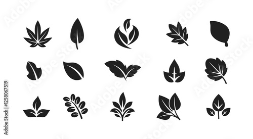 Leaf icons set, tropical leaves set, palm leaves silhouettes isolated, green leafs, environment and nature eco sign