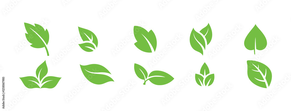 Green leaf icons set. Leaves icon on isolated background. Collection green leaf. Elements design for natural, eco, vegan, bio labels. Vector illustration EPS 10 Green leaf icons set. Leaves icon on isolated background. Collection green leaf. Elements design for natural, eco, vegan, bio labels. Vector illustration EPS 10