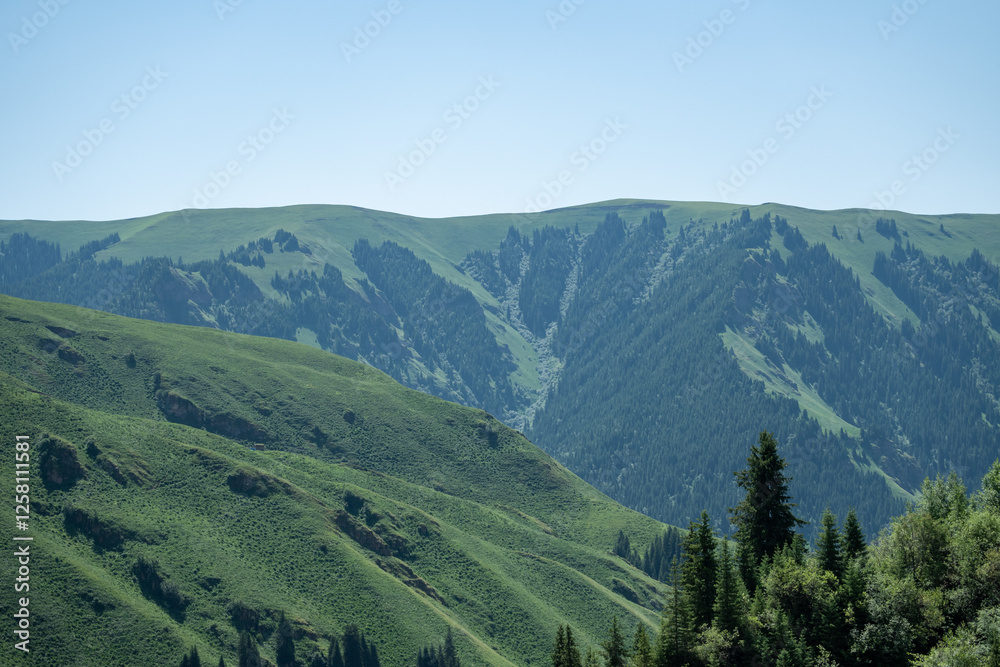 Fototapeta premium Duku Highway in Xinjiang Uyghur Autonomous Region, China 