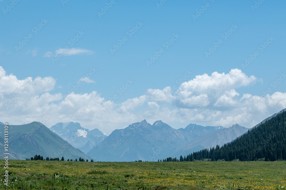 Obraz premium Duku Highway in Xinjiang Uyghur Autonomous Region, China 
