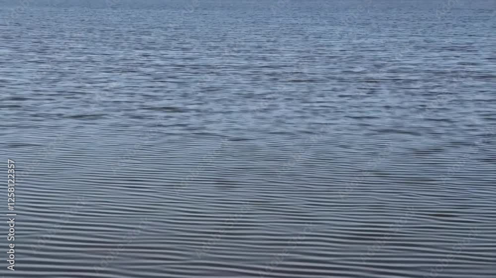 Gentle water surface undulating with soft ripples, creating mesmerizing wave patterns across six distinct moments of tranquil aquatic movement Gentle water surface undulating with soft ripples, creating mesmerizing wave patterns across six distinct moments of tranquil aquatic movement