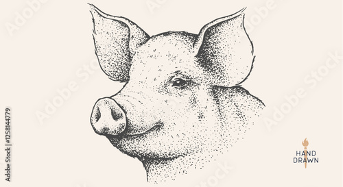 Pork, pig, hog. Hand drawn. Vintage retro print, black white pig head, pork drawing, engrave old school style. Sketch artwork ink pencil style drawing. Butchery, pork pig farm. Vector Illustration