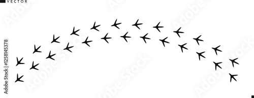 Rooster footprint silhouette. Chicken footprint vector illustration 
