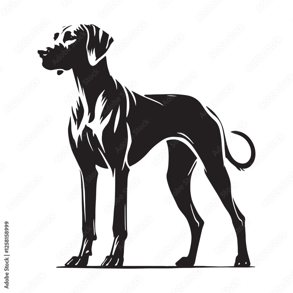Obraz premium Exquisite Rhodesian Ridgeback silhouette for sleek and elegant designs - Rhodesian Ridgeback illustration - minimal Rhodesian Ridgeback vector - dog silhouette 