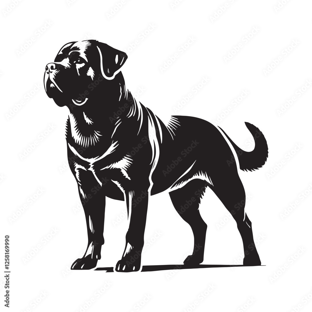 Obraz premium Powerful Rottweiler silhouette showcasing strength and confidence - Rottweiler illustration - minimal Rottweiler vector - dog silhouette 