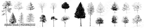 Set of hand-drawn architect trees: Sketch architectural illustration landscape