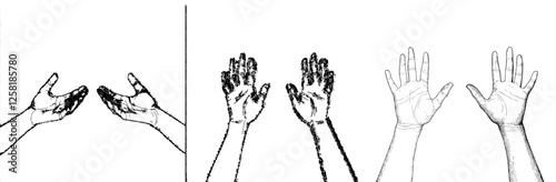 Human hand and palm view in a modern illustration with male and female anatomy line art