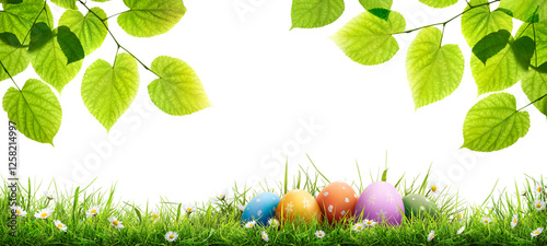 Obraz na płótnie A collection of painted easter eggs under bright green tree leaves celebrating a Happy Easter in spring with green short meadow grass against an isolated transparent background. w salonie