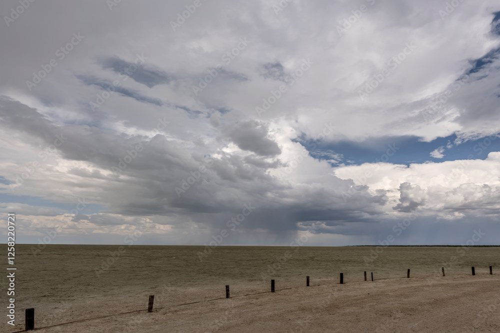 Obraz premium rain from storm clouds on Etosha pan, from Lookout point, Namibia