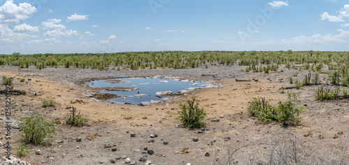 Moringa waterhole, near Halali, Etosha, Namibia photo