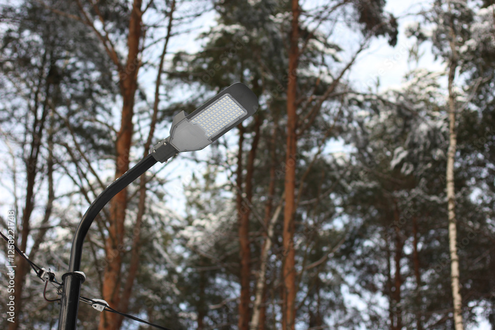 LED Street Light in Winter Landscape LED Street Light in Winter Landscape