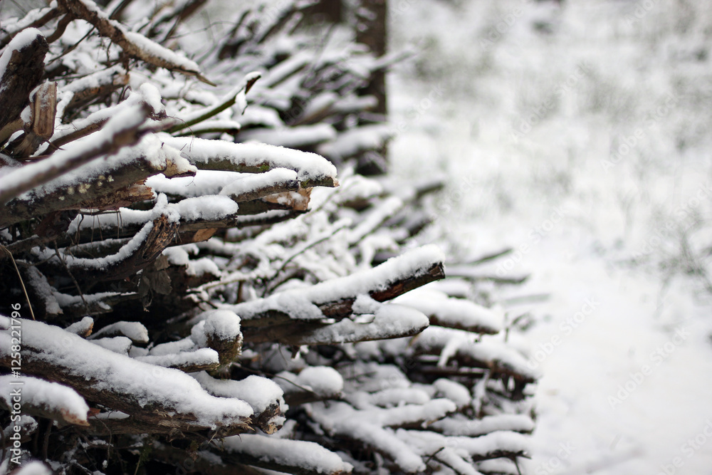 Snow-Covered Woodpile in Winter Forest Snow-Covered Woodpile in Winter Forest