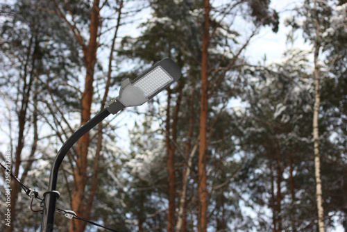 LED Street Light in Winter Landscape