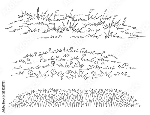 Sketch meadow grass. Line art spring field with natural wild grasses tufts and blooming wildflowers, simple hand drawn lawn grass decorative vector illustration set.