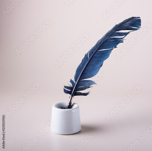 inkwell with black pen on a light background, means for romantic writing