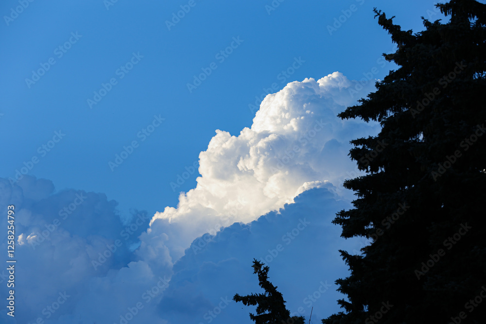 Blue sky with white clouds and silhouettes of coniferous trees.