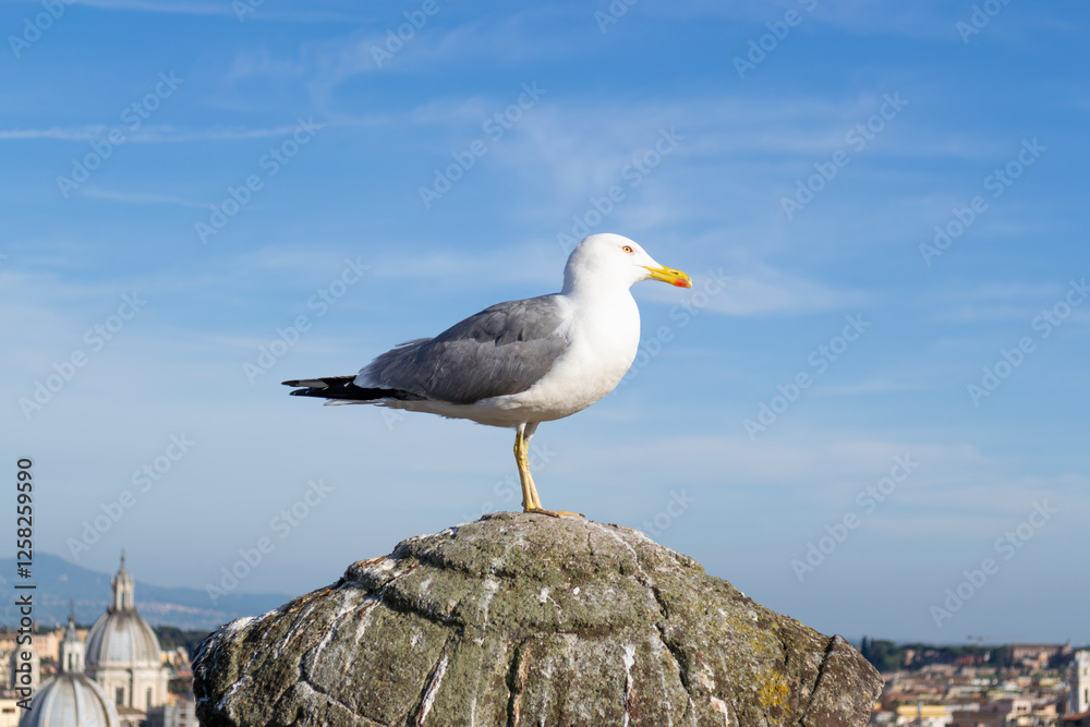 Seagull standing side view on top of a castle with a backdrop of a city and blue sky Seagull standing side view on top of a castle with a backdrop of a city and blue sky