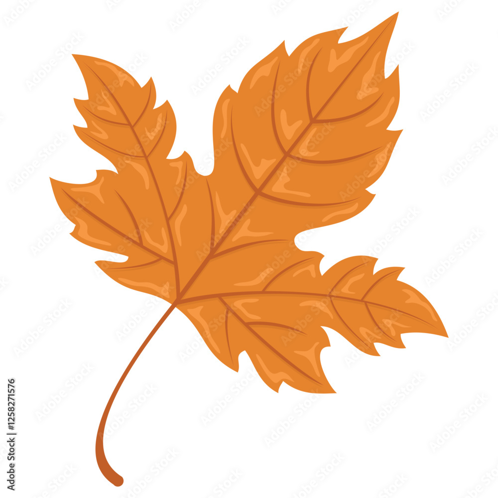 Maple Flower Vector Illustration for Design Maple Flower Vector Illustration for Design