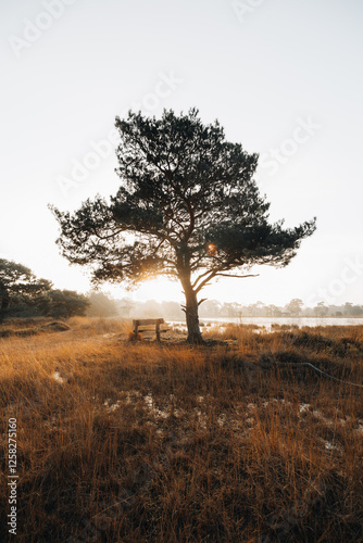 Resting place in nature 