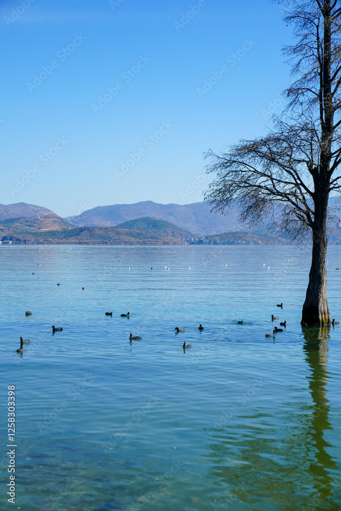 A solitary tree stands gracefully in the middle of a tranquil lake, its reflection mirrored in the calm water. A flock of ducks and waterfowl peacefully swim around, enhancing the serene atmosphere. b A solitary tree stands gracefully in the middle of a tranquil lake, its reflection mirrored in the calm water. A flock of ducks and waterfowl peacefully swim around, enhancing the serene atmosphere. b