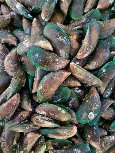 The fresh fish on the market
