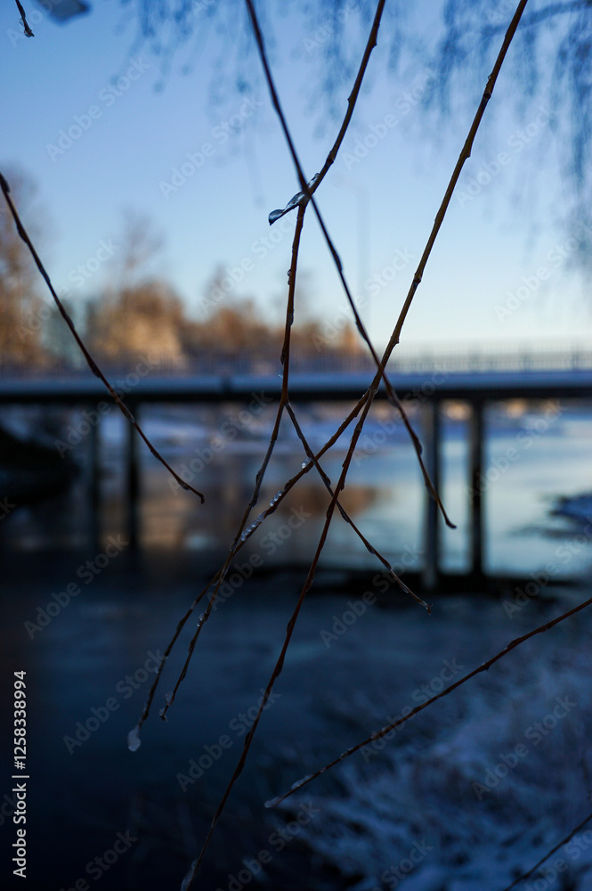 Fototapeta premium Branches close up winter landscape and bridge in the background