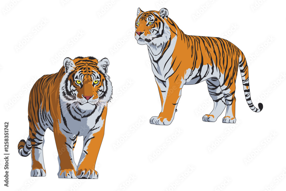 Obraz premium tiger vector with hight resolution 