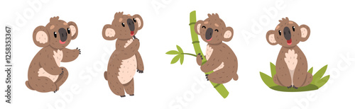 Funny Koala Animal with Cute Snout Vector Set