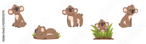 Funny Koala Animal with Cute Snout Vector Set