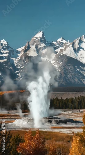 Wallpaper Mural scenic wyoming high tour outdoors river tetons natural yellowstone travel usa scenery wildlife geyser country autumn park landscape beautiful basin grand wilderness nature tourism colorado national Torontodigital.ca