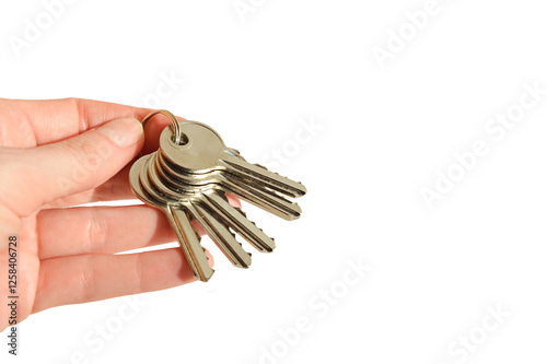 a bunch of metal keys for the door lock. the key to the house, apartment. background for the design