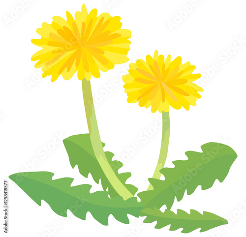 かわいいタンポポのイラスト ベクター素材