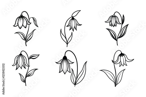 Crown Imperial (Fritillaria imperialis) line art vector illustration