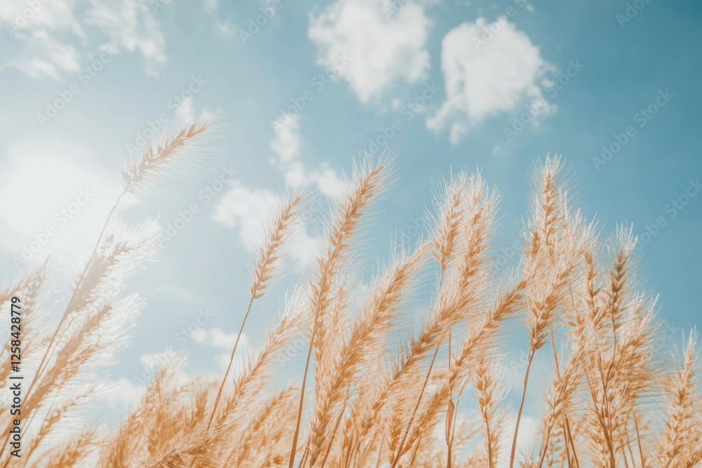 Textured sunlit wheat field with golden grain patterns swaying in the breeze, capturing the warmth of late summer. Textured sunlit wheat field with golden grain patterns swaying in the breeze, capturing the warmth of late summer.