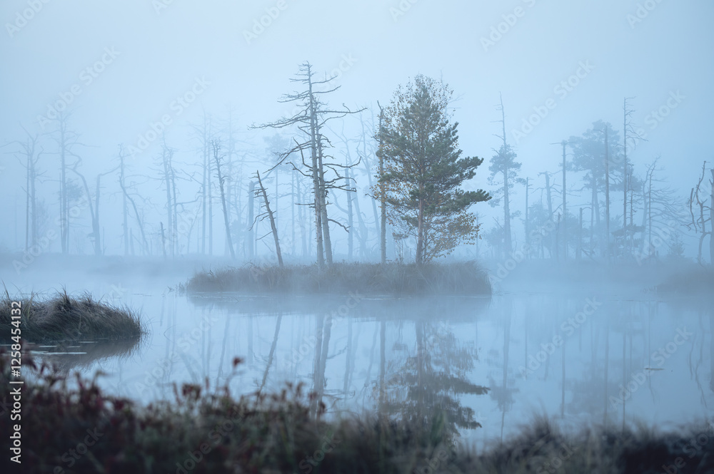 Indian guy on sup board. Moody atmospheric forest lake with reflections in the dark water. Blue haze and fog covering the scene.
