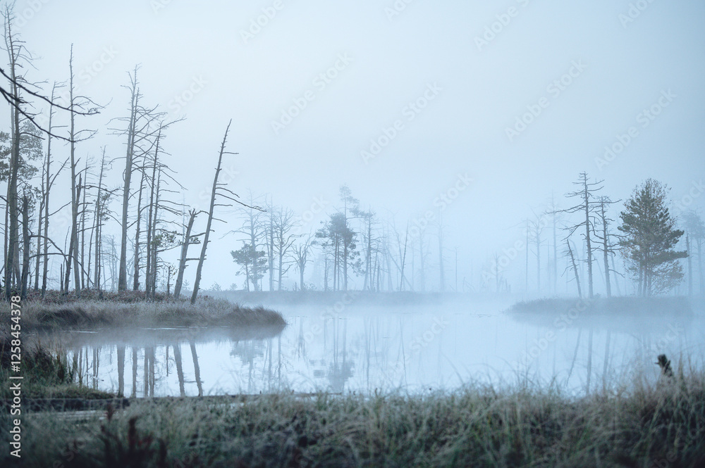 Indian guy on sup board. Moody atmospheric forest lake with reflections in the dark water. Blue haze and fog covering the scene.