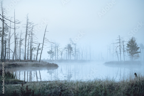 Obraz na płótnie Indian guy on sup board. Moody atmospheric forest lake with reflections in the dark water. Blue haze and fog covering the scene. w salonie