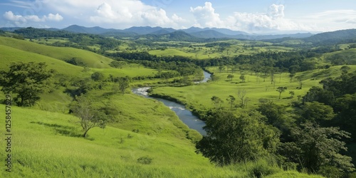 Serene Green Valley River Landscape
