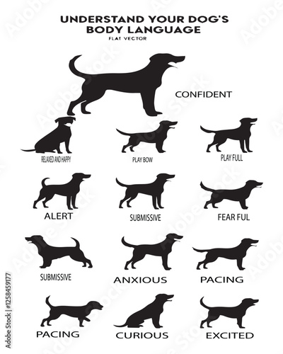 Decoding Your Dog: A Guide to Understanding Canine Body Language